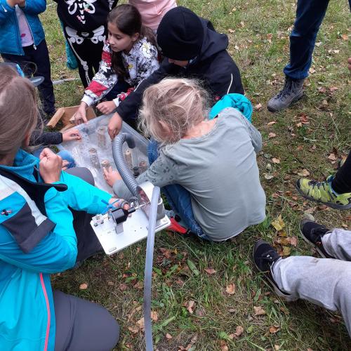 Wasserprojekt 3b
