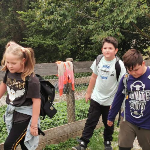 Wandertag 3a