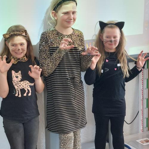 Fasching 3b