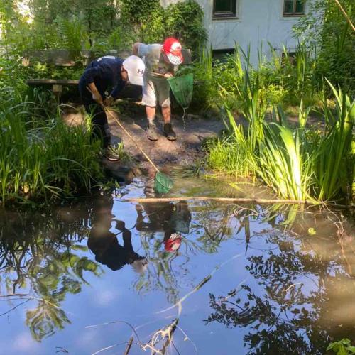 Wassertag 