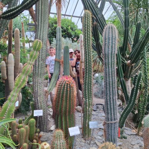 Botanischer Garten