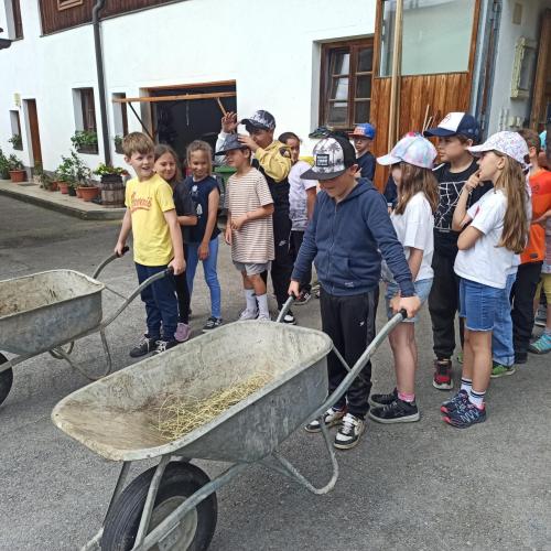 2a Bauernhof