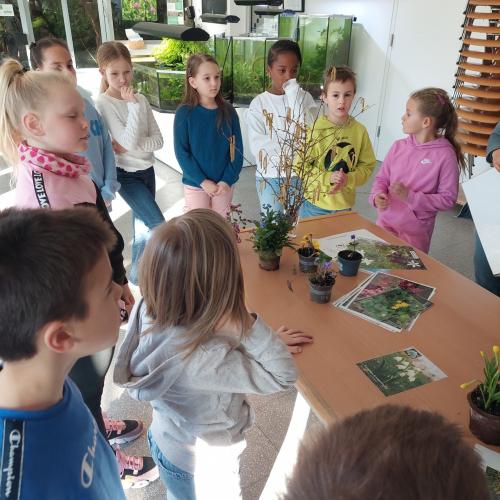 Botanischer Garten