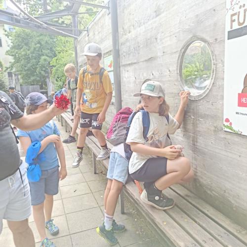 Alpenzoo