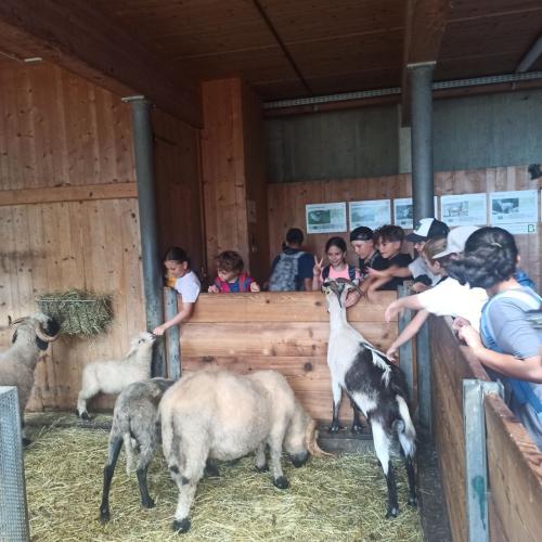 Alpenzoo