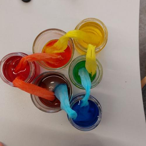 Science Day