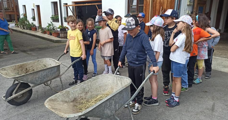 2a Bauernhof